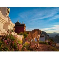 Fujifilm GFX 50S II Medium Format Camera With GF 35-70mm WR Lens -Camera Gear Store 16708458 7