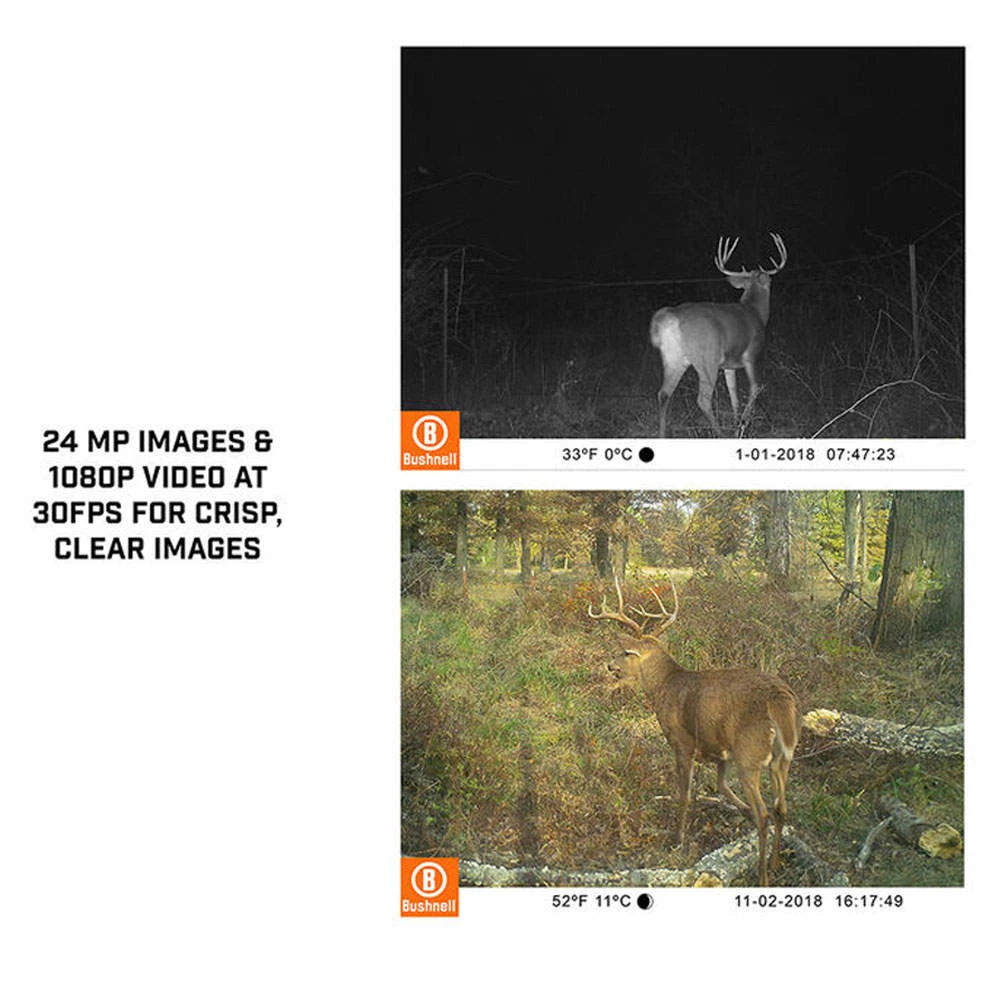 Bushnell Core No Glow Wildlife Camera | Tan | 24MP | 36 LEDS | 0.3-Sec Trigger 4 Bushnell Core No Glow Wildlife Camera | Tan | 24MP | 36 LEDS | 0.3-Sec Trigger - Image 4