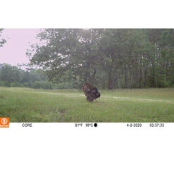 Bushnell Core S-4K 30mp No Glow Trail Camera | Camo | 30MP | 0.2 Sec Trigger | 4K Video -Camera Gear Store 18119949M 3