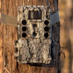 Bushnell Core DS-4K No Glow | Camo | 30MP | 0.2 Sec Trigger | 4K Video -Camera Gear Store 18119987M 2