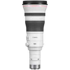 Canon RF 800mm F5.6 L IS USM RF Lens