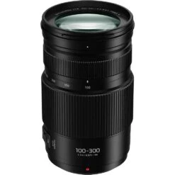 Panasonic 100-300mm F4-5.6 G Mark II Lens