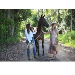 Nikon Z 40mm F2 Pancake Lens Nikkor Z -Camera Gear Store JMA106DA 4