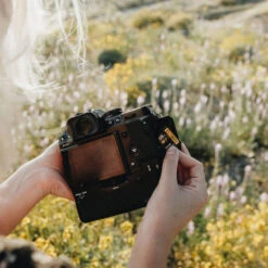 Lexar Professional 2000x 128GB SDXC UHS-II Memory Card -Camera Gear Store LSD2000128G BNNNG 4